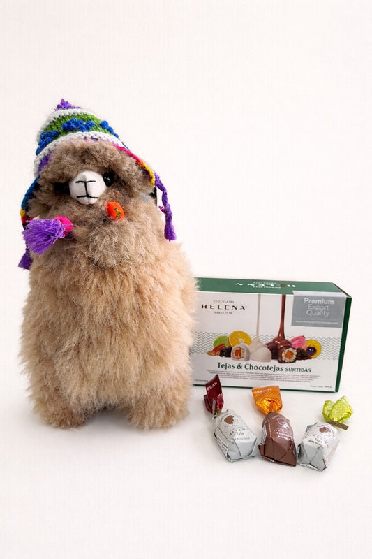 Sweet Brown Llama & Gift Box - 12 Tejas & Chocotejas
